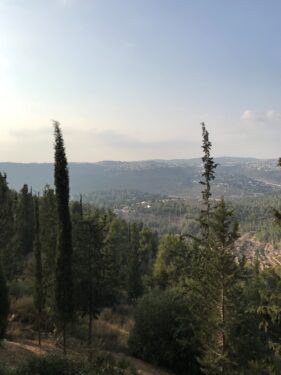 ConAct_view_after_visiting-YadVashem(Janis.Kücük_1)